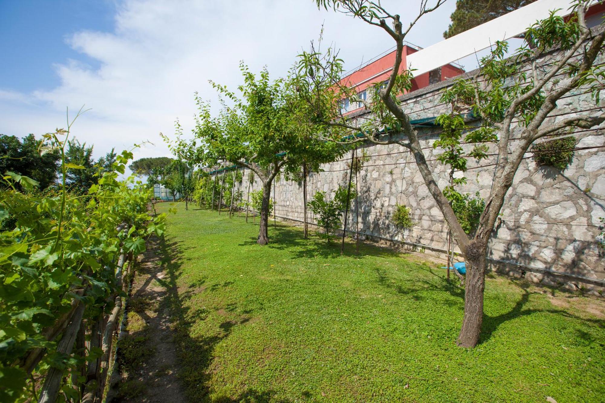 Villa Mambrini Sorrento Exterior foto